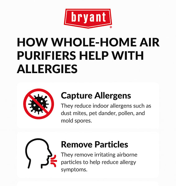 Best Air Purifier For Allergies Bryant